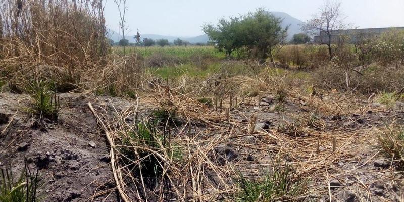 Venta Terreno Campestre en Jojutla de Juárez Centro  Jojutla Morelos