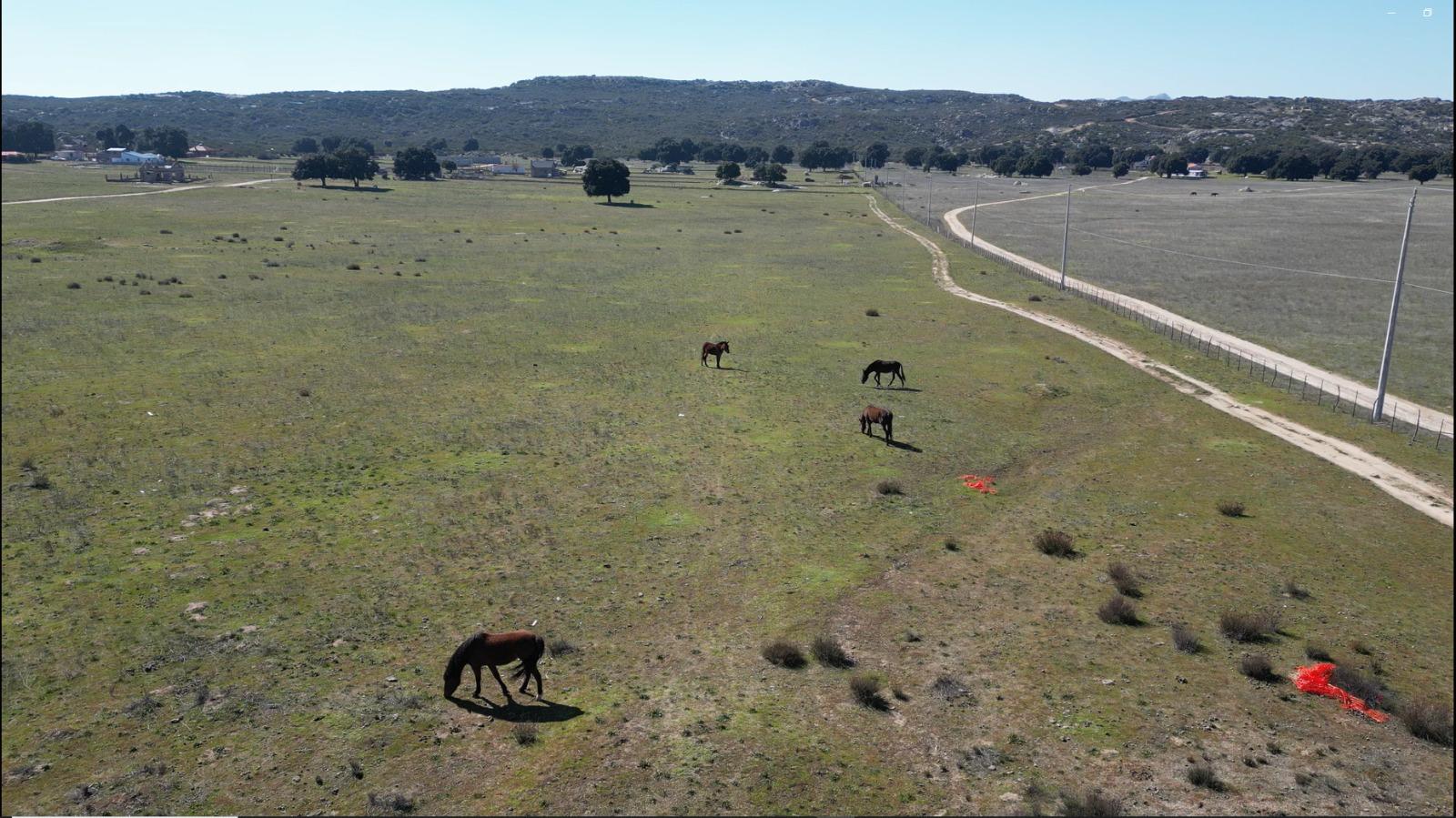 VENTA DE TERRENOS EN RANCHO LAS JUNTAS EN EL HONGO, TECATE