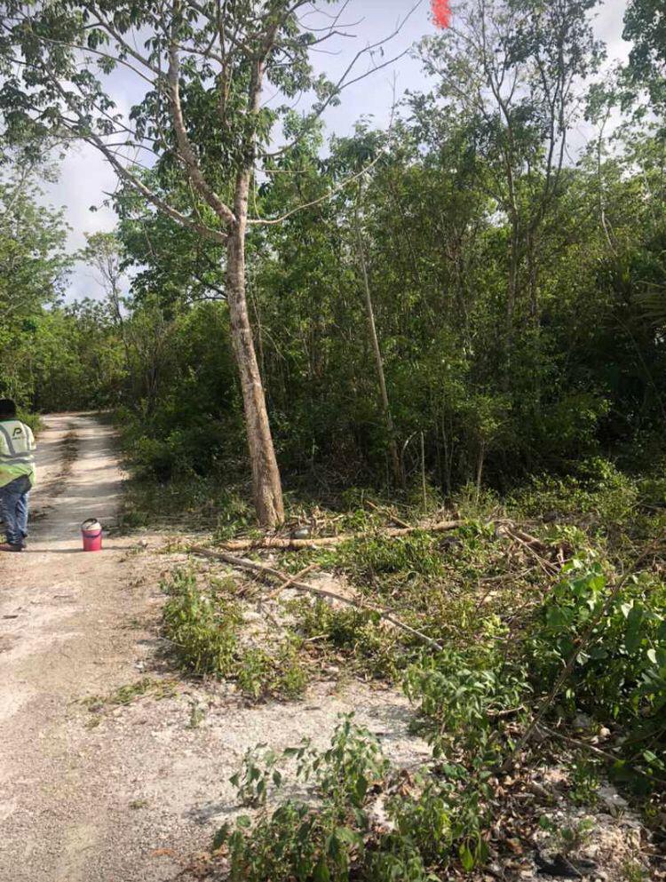 TERRENO EN  LONG ISLAND (ALAMOS 2)