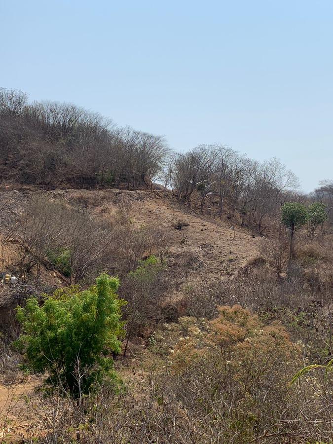 Terreno - Rancho o rancheria Puerto Angel