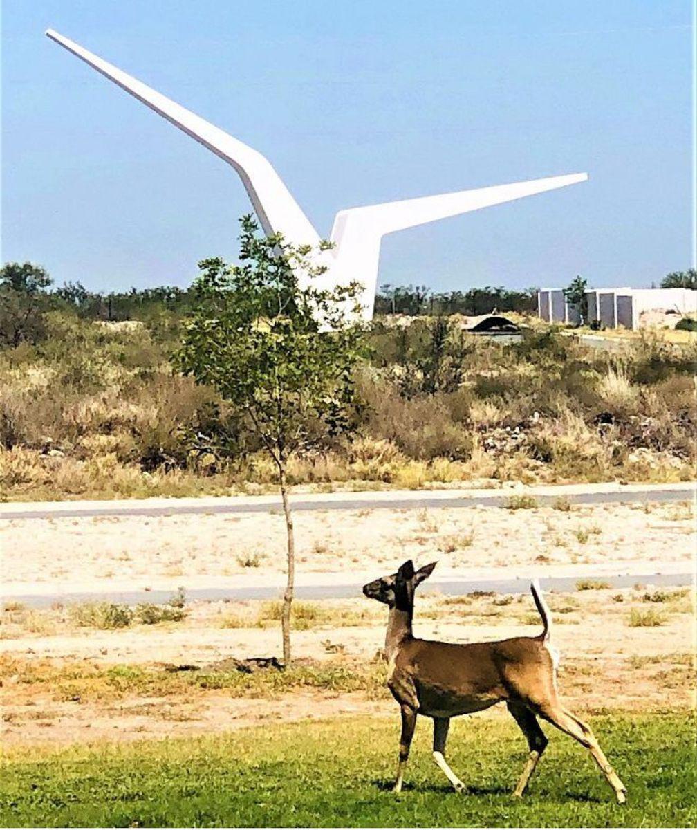 Terreno en venta en Las Aves en Pesquería