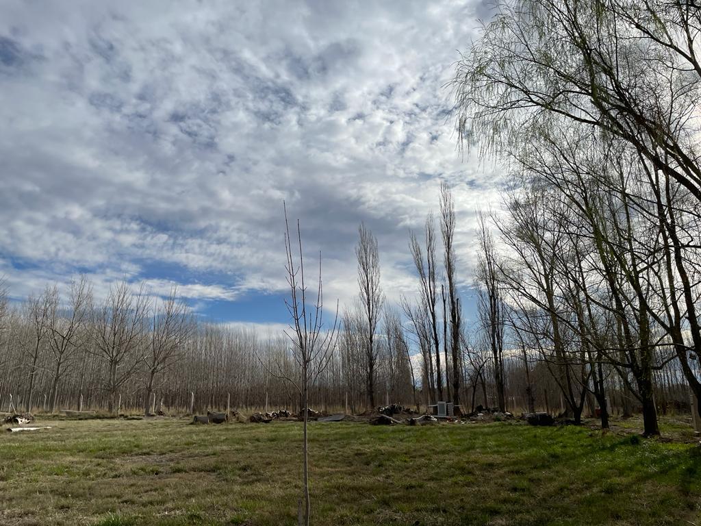 Lote  barrio Las Patricias - General Roca