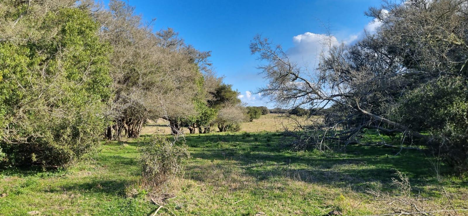 Terreno en General Madariaga