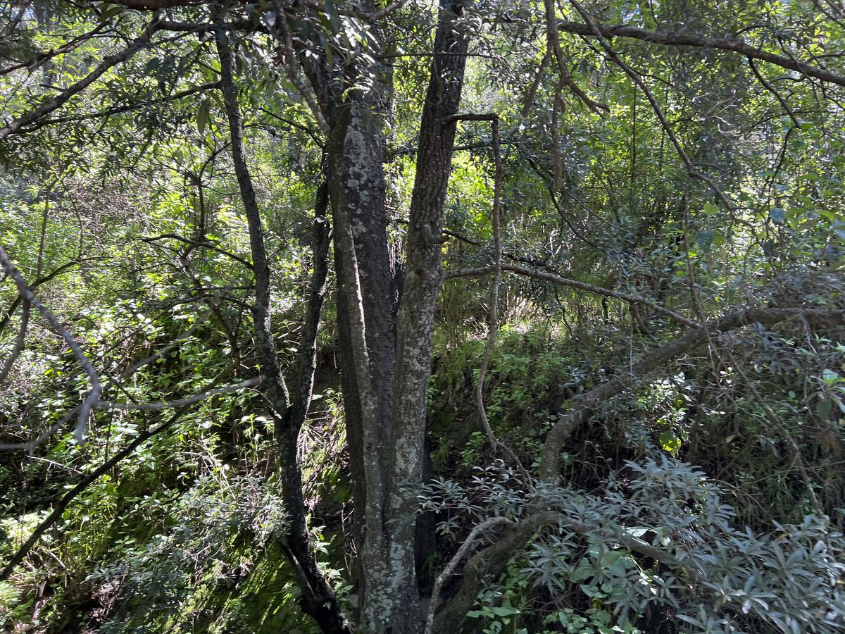 Terreno - Ex-hacienda Jajalpa