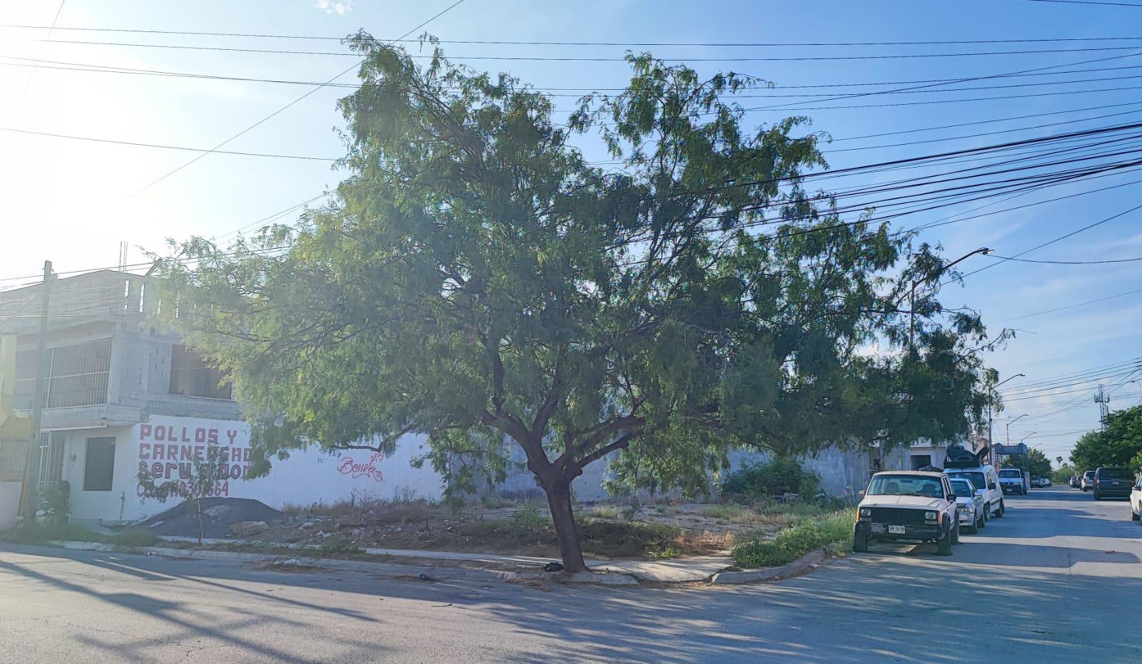 Terreno en Renta en Av. Palmas