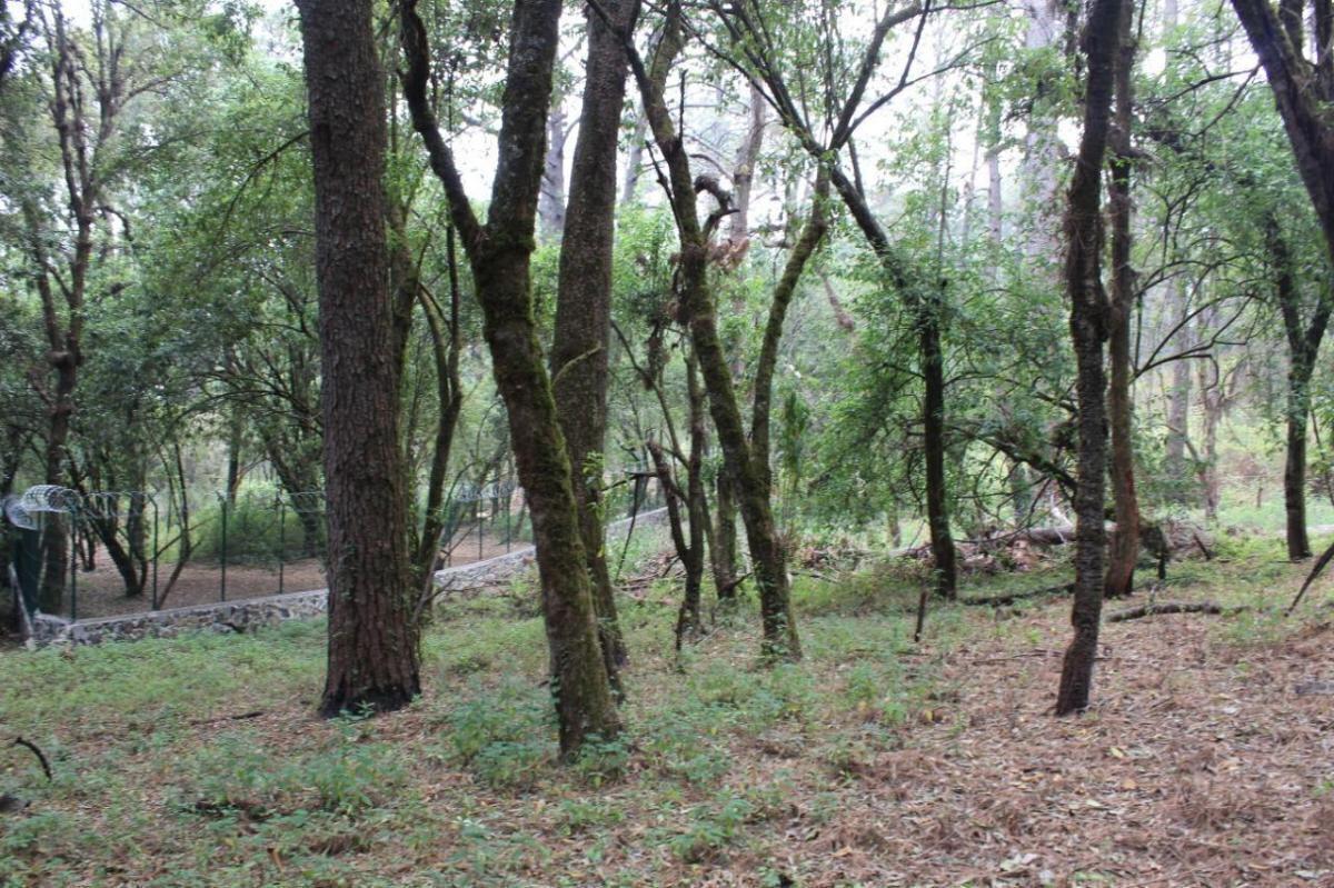 TERRENO CON ACCESO INMEDIATO DESDE LA CARRETERA FEDERAL