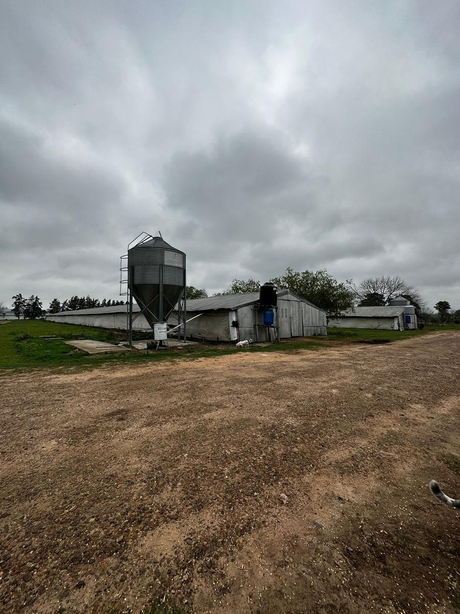 Granja en venta