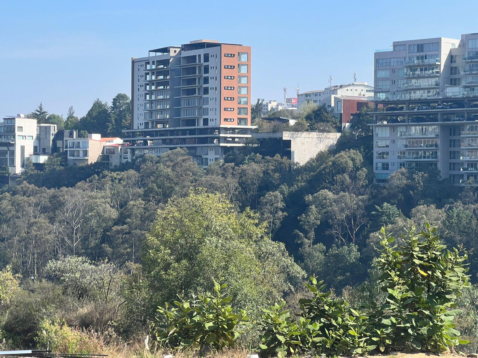 Gran Terreno en Bosque Real-Girasoles