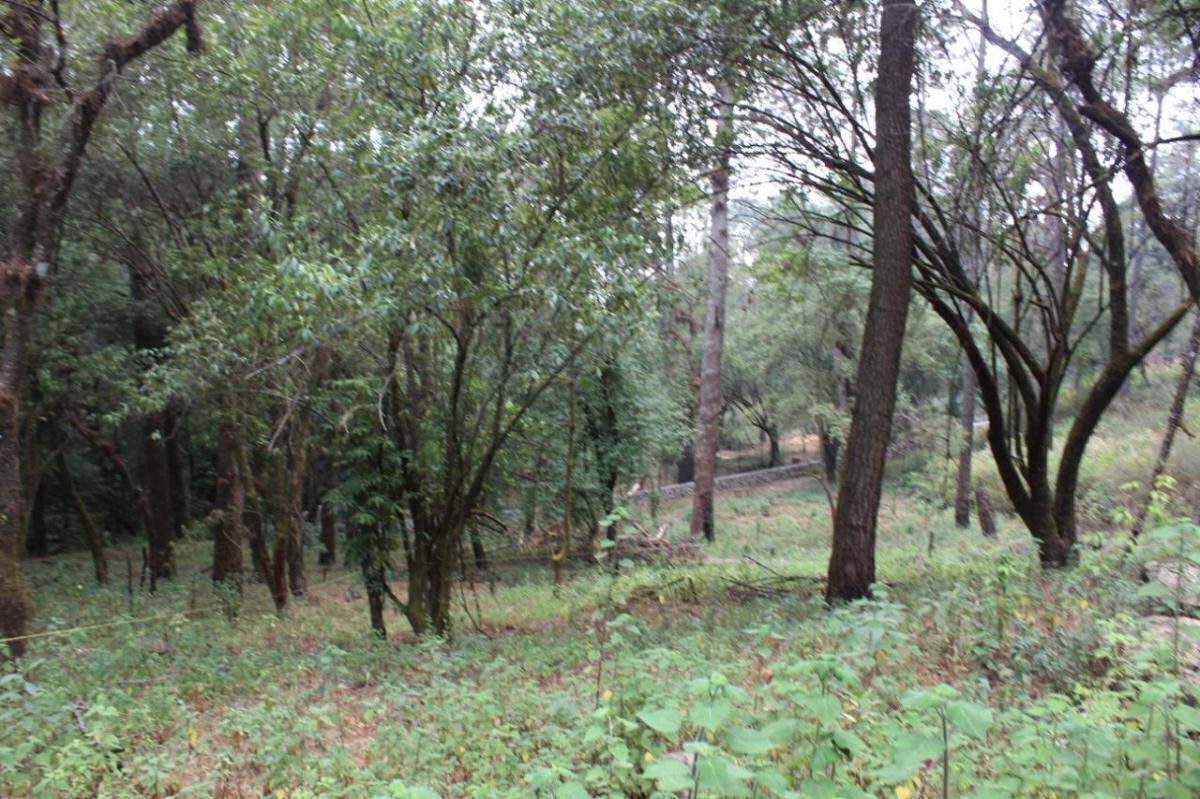 TERRENO CON ACCESO INMEDIATO DESDE LA CARRETERA FEDERAL