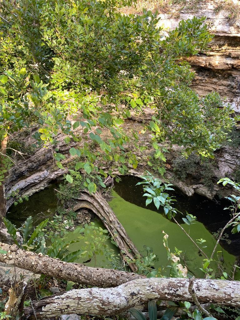 Rancho con cenotes y casa antigua en Sotuta de 489 hectareas propiedad con luz