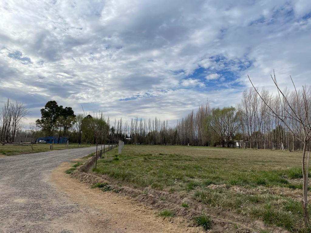 Lote barrio Las Patricias - General Roca