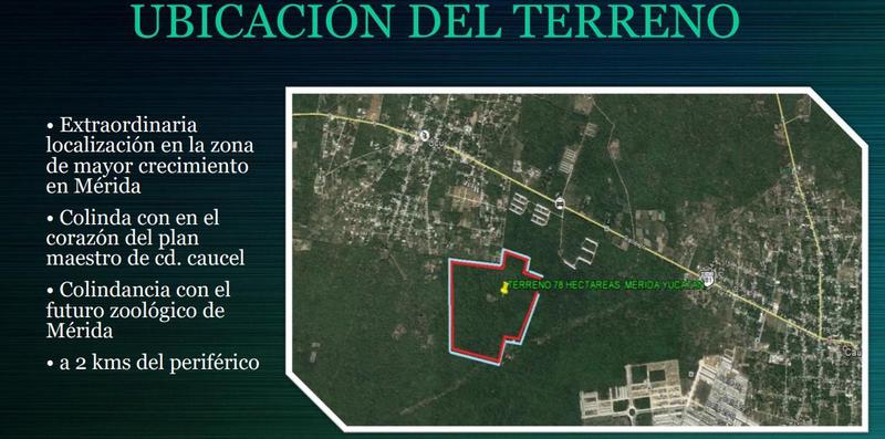 Mérida Yucatán, VENTA DE HECTAREAS EN UCU