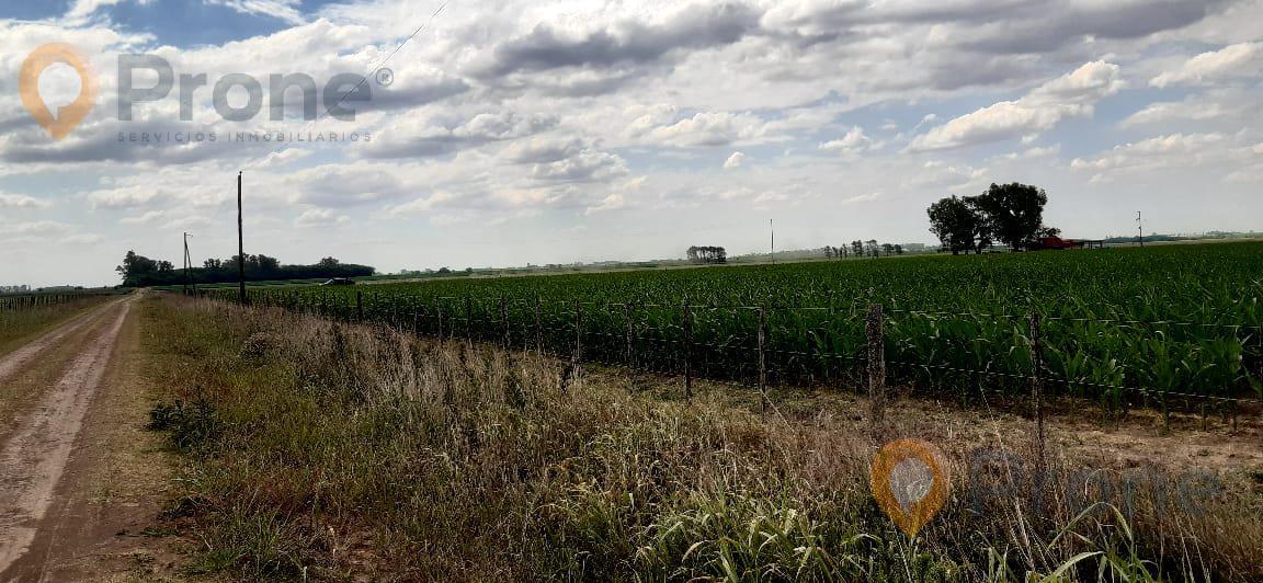 Campo en  Pergamino