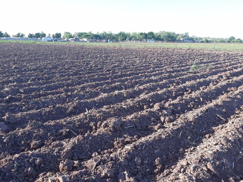 Venta terreno carretera Los Mochis-Topolobampo