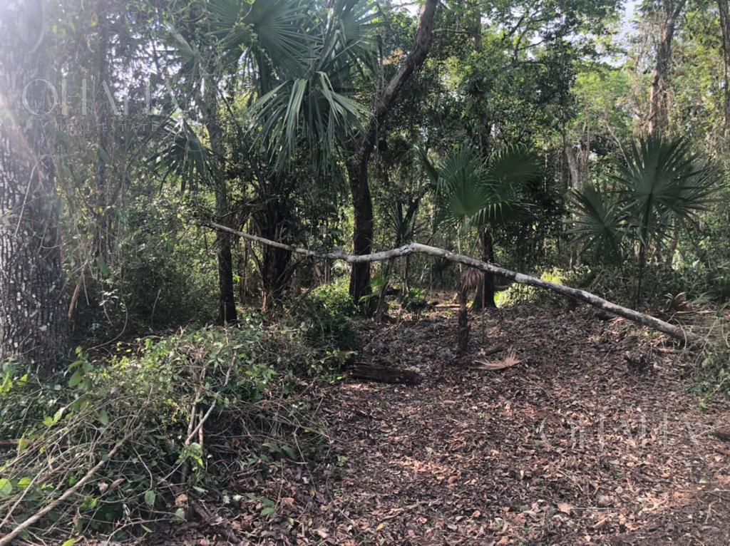 Terreno en  Vebra en ruta de los cenotes