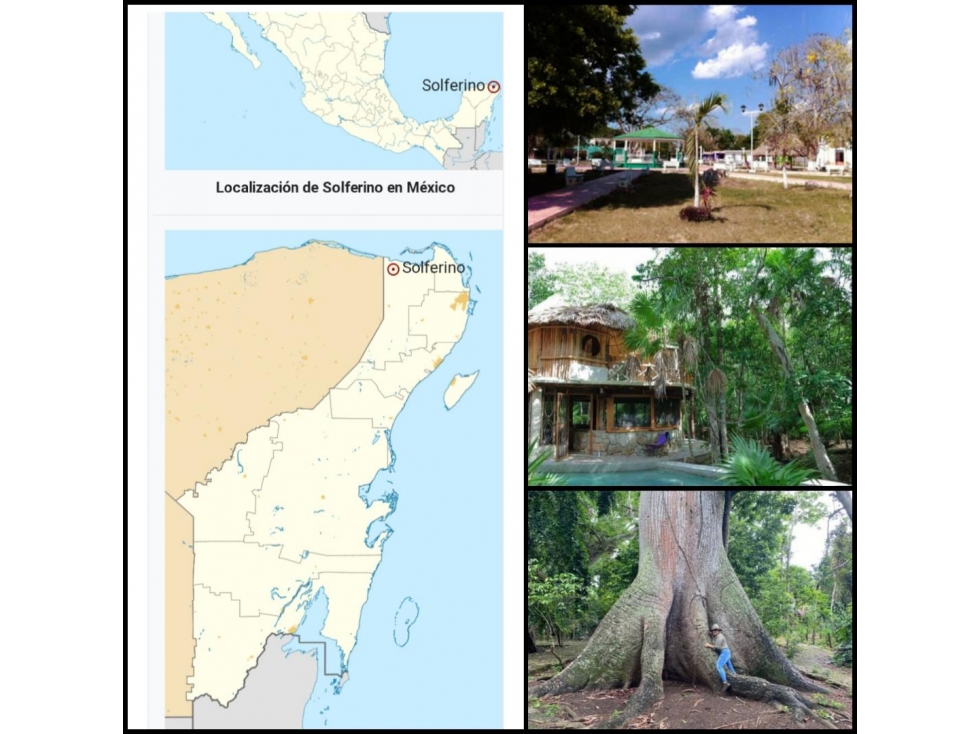 HECTAREA SOLFERINO QUINTANA ROO