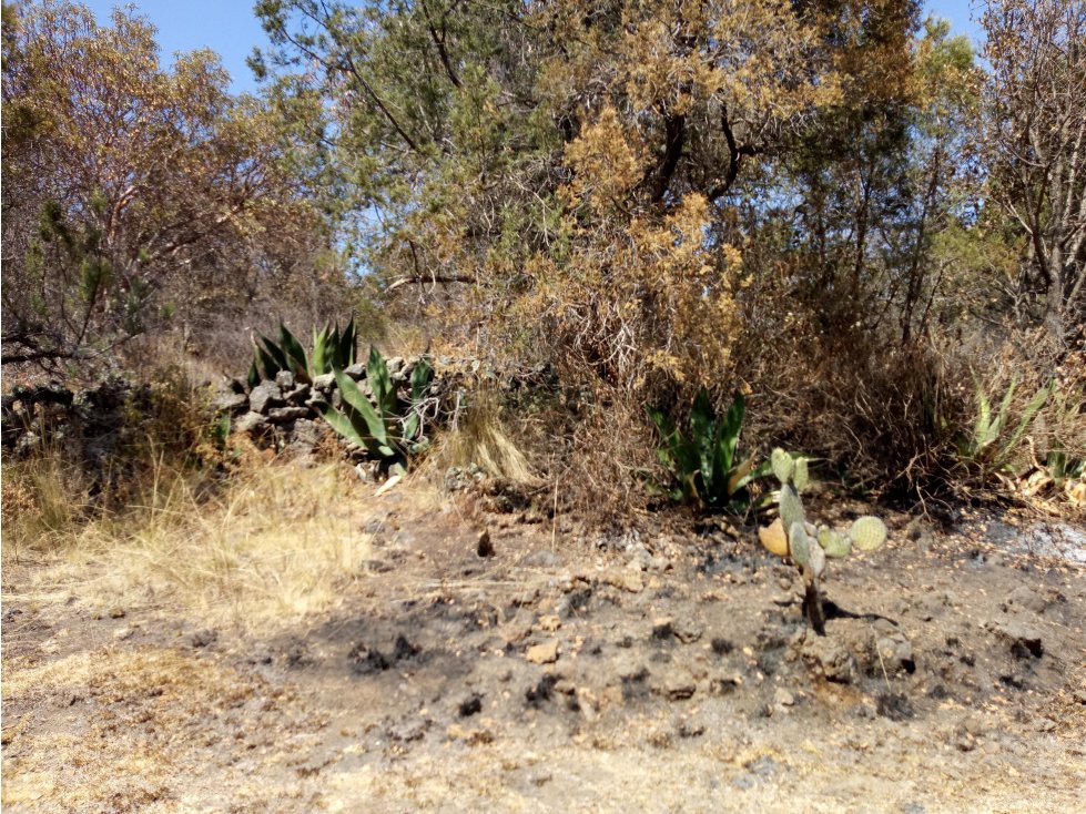 VENTA TERRENO IDEAL PARA EXPLOTAR PIEDRA VOLCÁNICA 18.5 HECTÁREAS