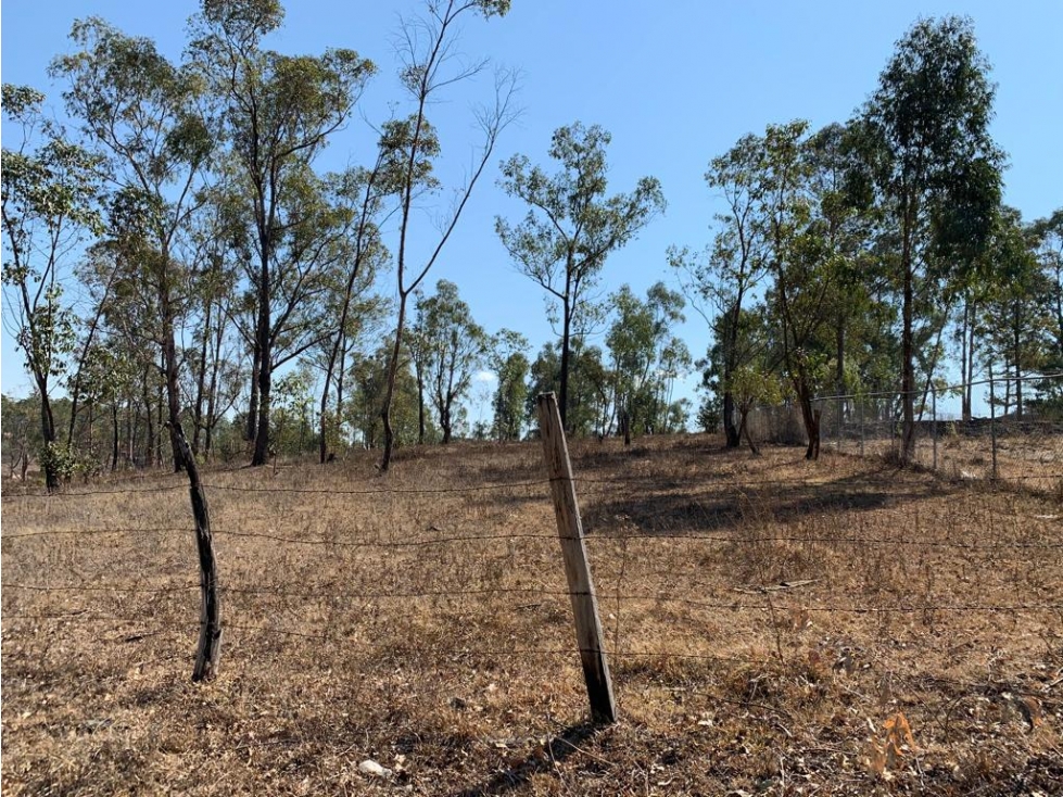 Terreno en Venta camino a Tirio