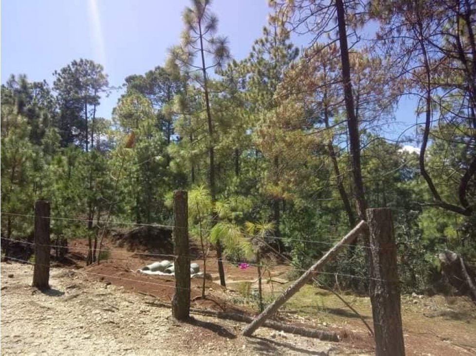 Venta de Terreno en Huasca de Ocampo camino a Bermudez.