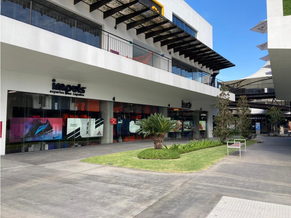 Oficinas en Renta en Raúl Salinas 407 mts2 pb nivel en Plaza LSL