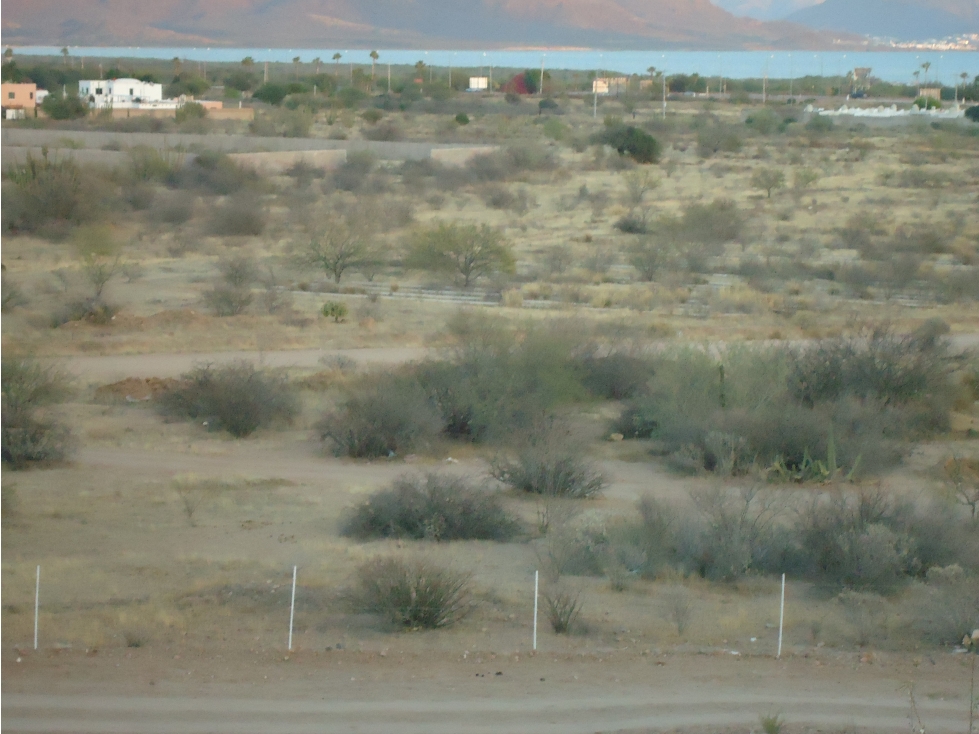 Terreno en VENTA en San Carlos, Sonora