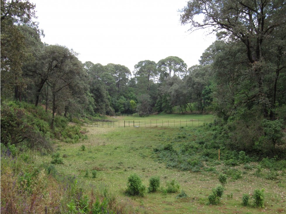 RANCHO RODEADO DE BOSQUE CON MANANTIAL