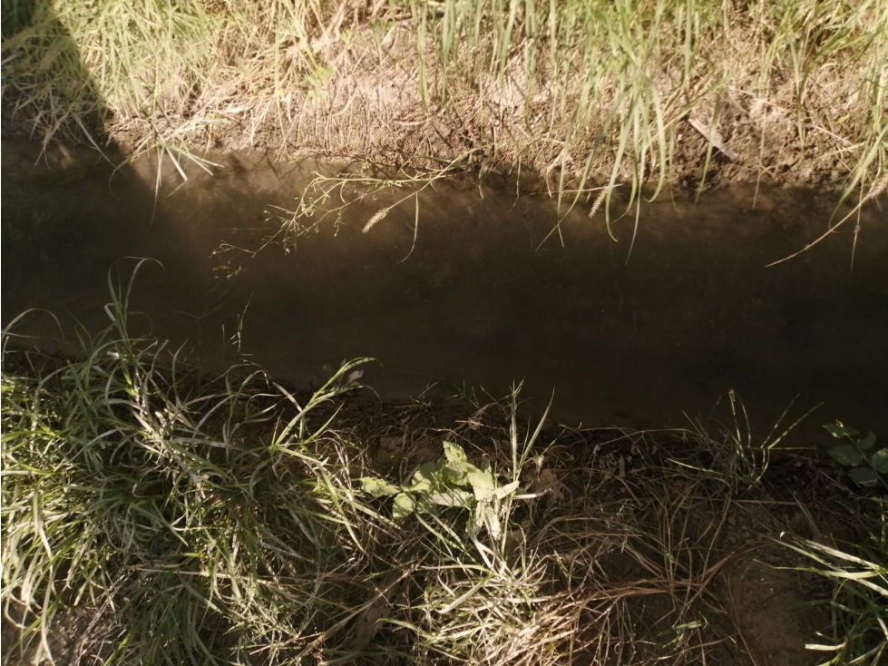 VENTA DE TERRENO,VILLITA  DE BUCARELI,  NADADORES COAHUILA