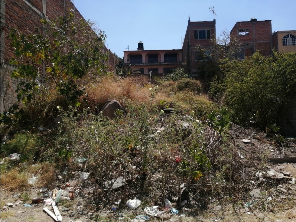 Venta de Terreno Fraccionamiento Peña La Piedad, Michoacán