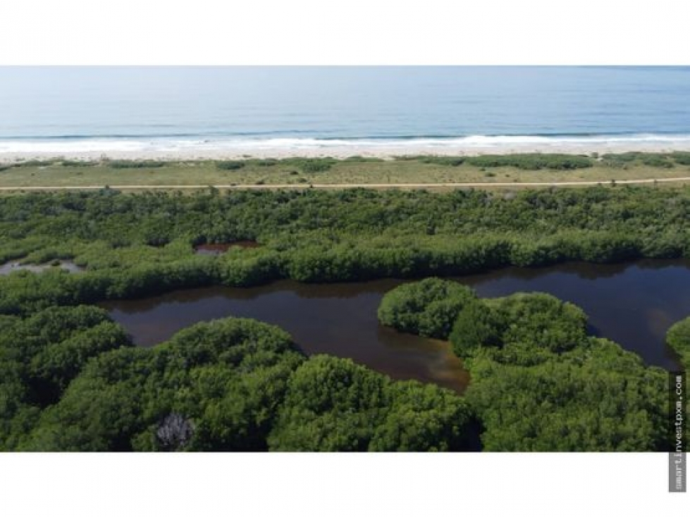 La isla, Chacahua / 2 hectáreas / Frente de playa