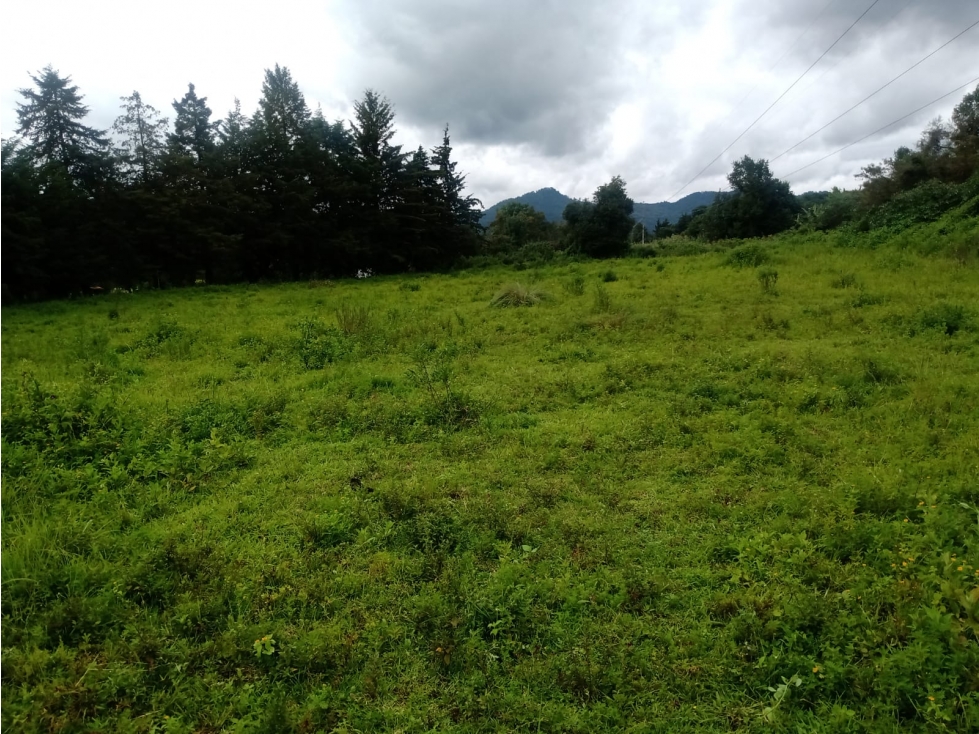 TERRENO LAS TORRES ACATITLÁN