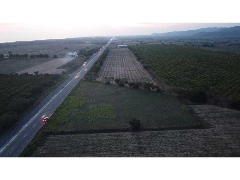 hectárea sobre carretera federal/junto a la fábrica de mango