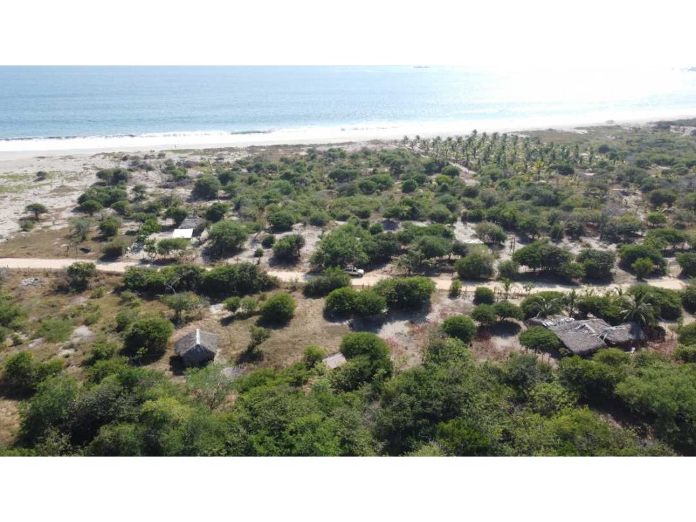 LA ISLA DE CHACAHUA/450 M2 SEGUNDA LÍNEA DE PLAYA