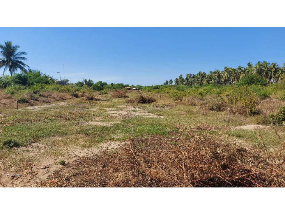 VENDO LOTES EN  LAGUNAS  DE CHACAHUA.