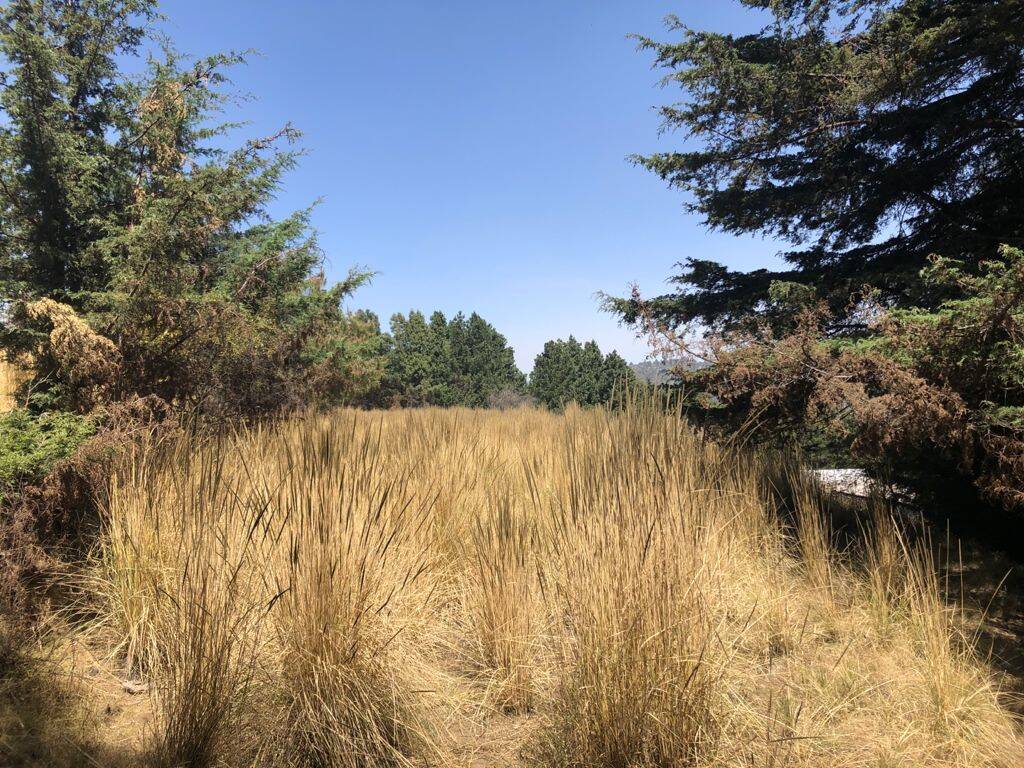 Terreno con vista panorámica a CDMX en el Ajusco