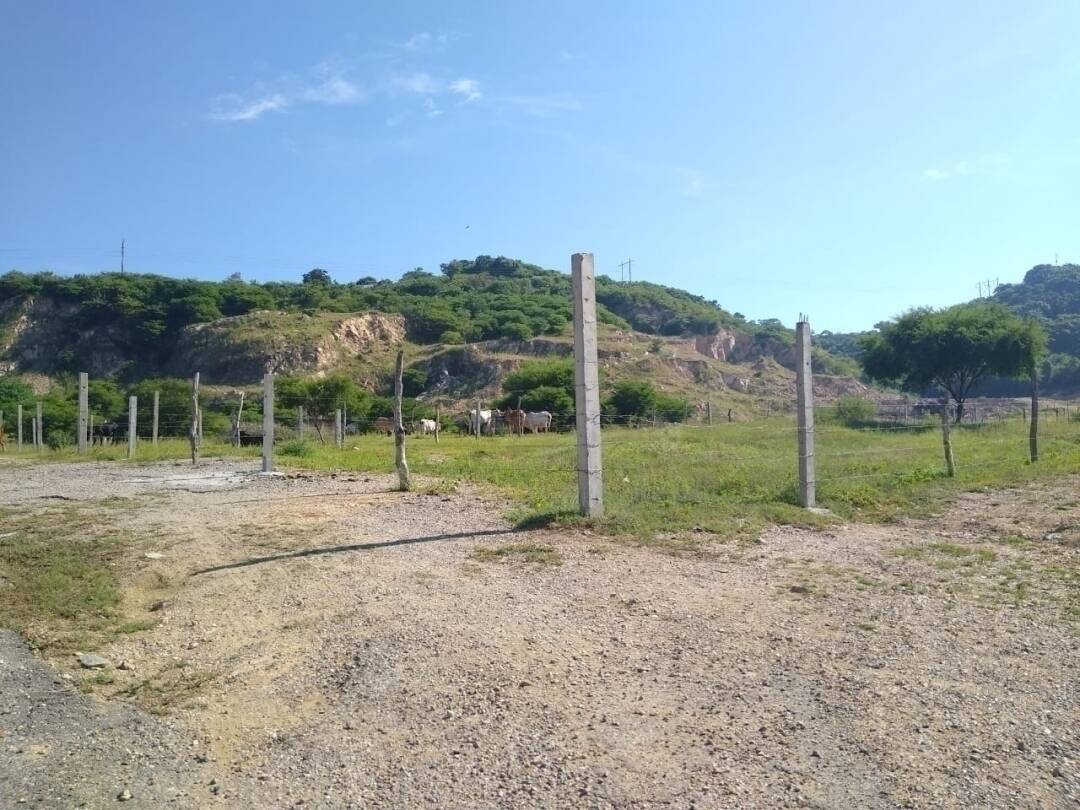 TERRENOS CON VISTA A LA LAGUNA DE 3 PALOS