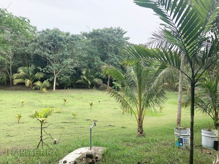 TERRENO CON CASA EN VENTA EN EL SALTO,TUXPAN,VERACRUZ