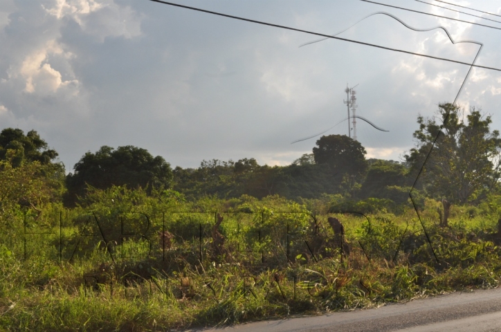 Terreno en venta sobre la Carretera a Cobos, Tuxpan Veracruz.